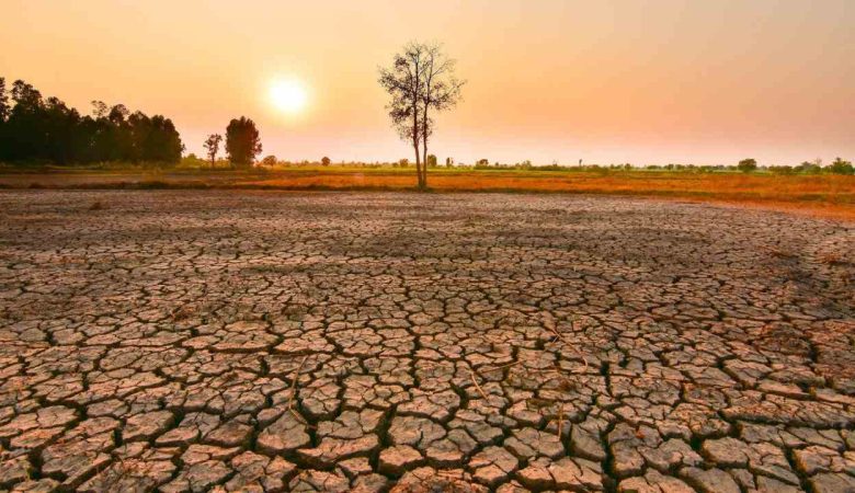 Hiện tượng El Nino