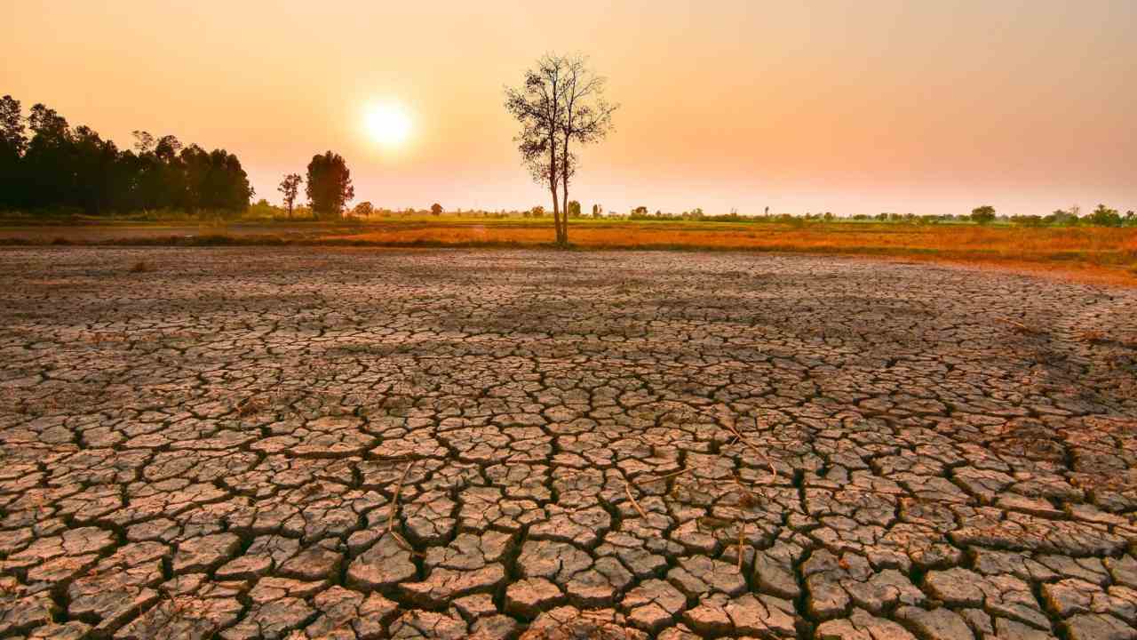 El Nino xuất hiện ảnh hưởng thế nào đến các doanh nghiệp điện?