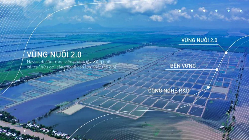 Phân tích cổ phiếu ANV