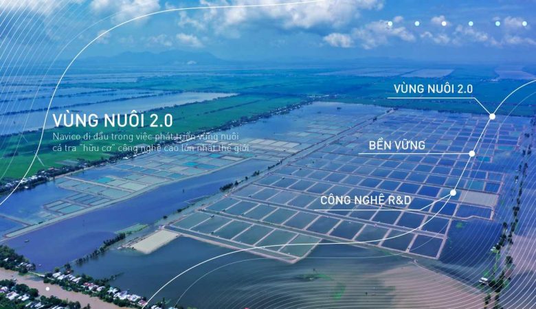 Phân tích cổ phiếu ANV